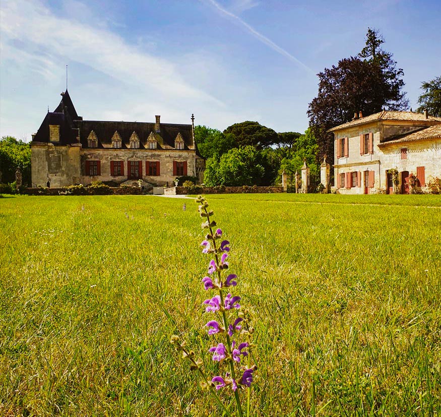 Chateau d’Yquem in Sauternes
